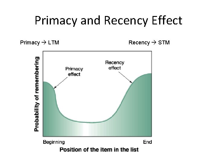 Primacy and Recency Effect Primacy LTM Recency STM 