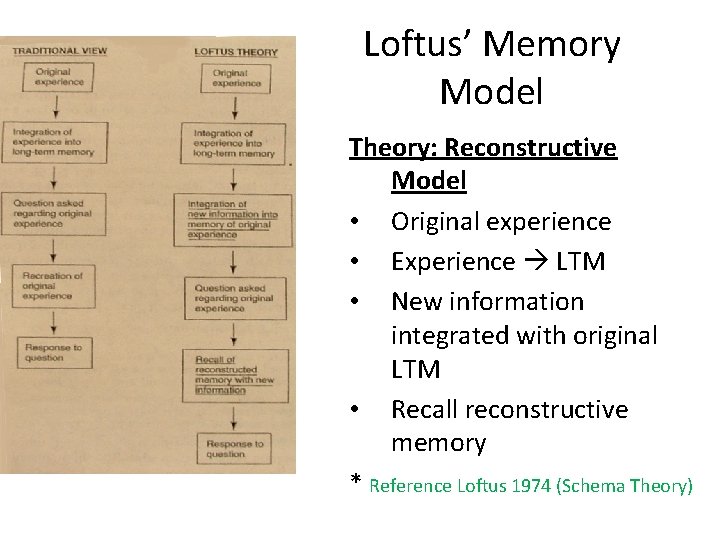 Loftus’ Memory Model Theory: Reconstructive Model • Original experience • Experience LTM • New