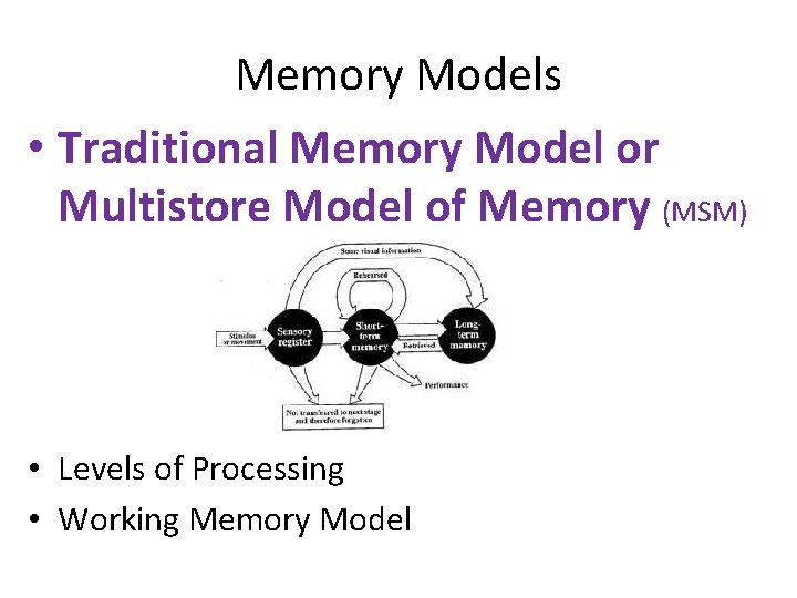 Memory Models • Traditional Memory Model or Multistore Model of Memory (MSM) • Levels