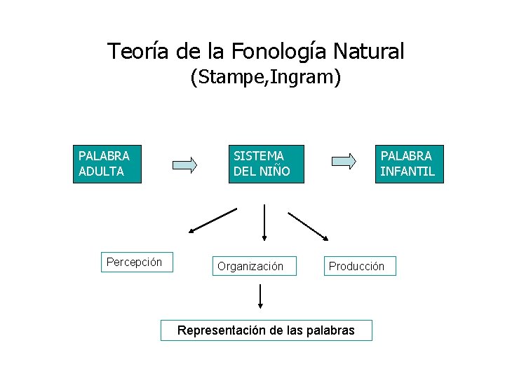 Teoría de la Fonología Natural (Stampe, Ingram) PALABRA ADULTA Percepción SISTEMA DEL NIÑO Organización