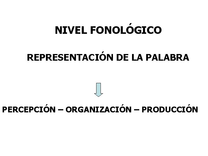 NIVEL FONOLÓGICO REPRESENTACIÓN DE LA PALABRA PERCEPCIÓN – ORGANIZACIÓN – PRODUCCIÓN 