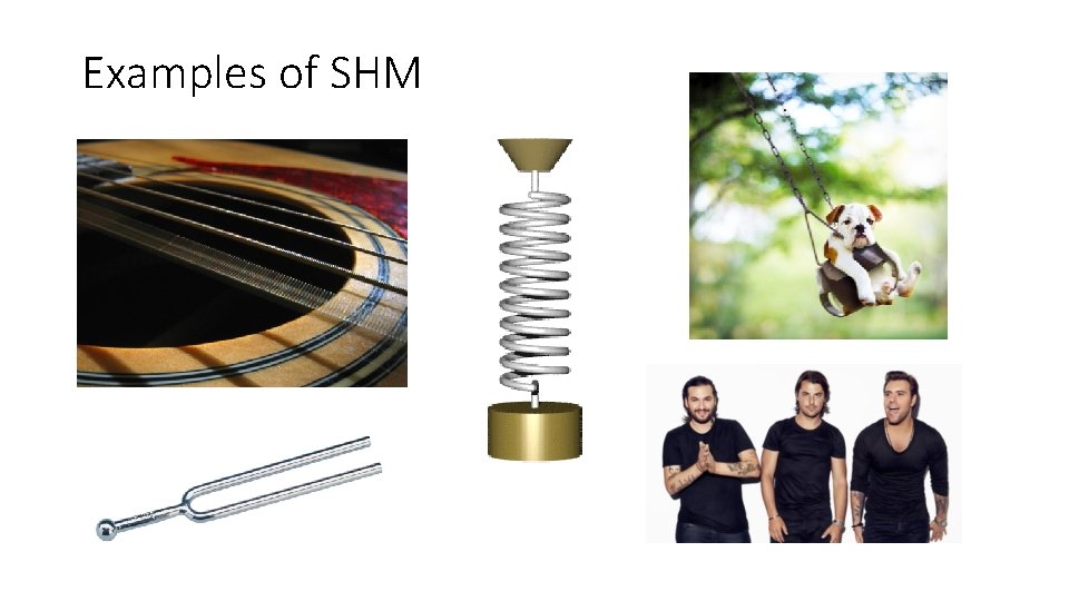 Examples of SHM 