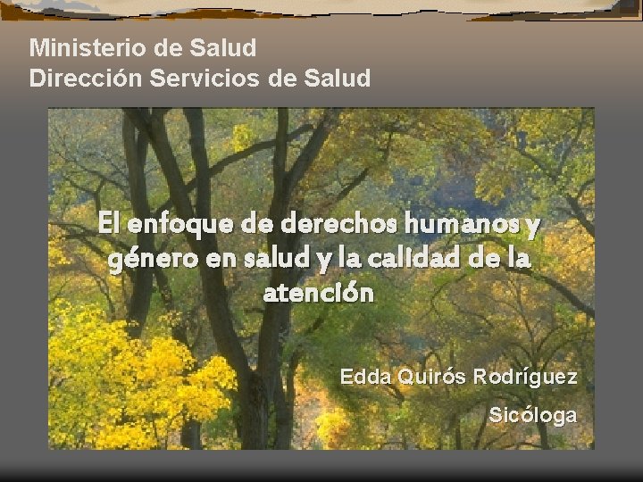 Ministerio de Salud Dirección Servicios de Salud El enfoque de derechos humanos y género