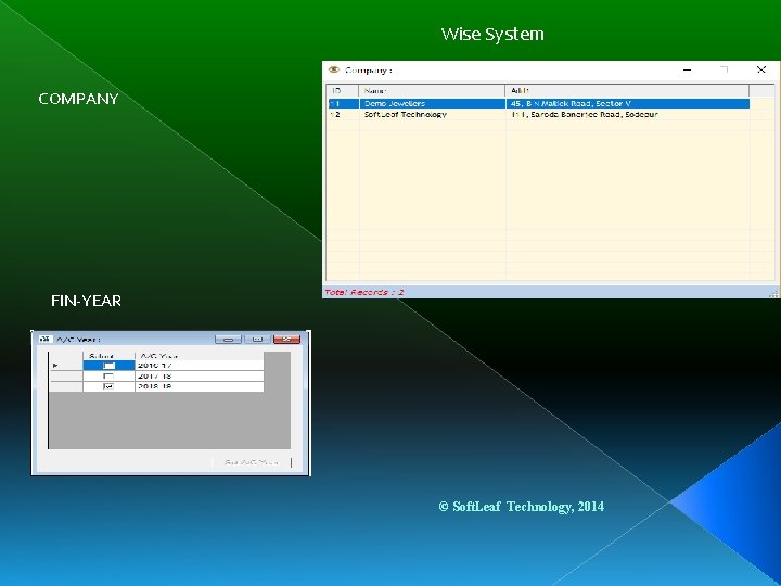 Wise System COMPANY FIN-YEAR © Soft. Leaf Technology, 2014 