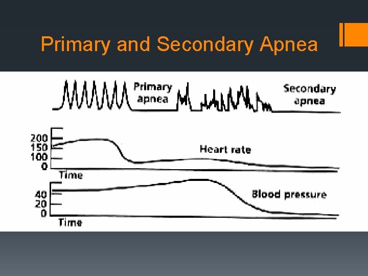Primary and Secondary Apnea 