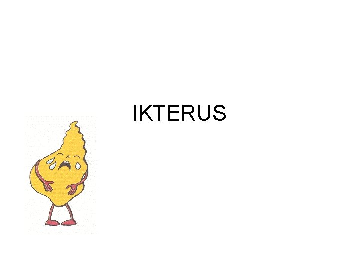 IKTERUS 