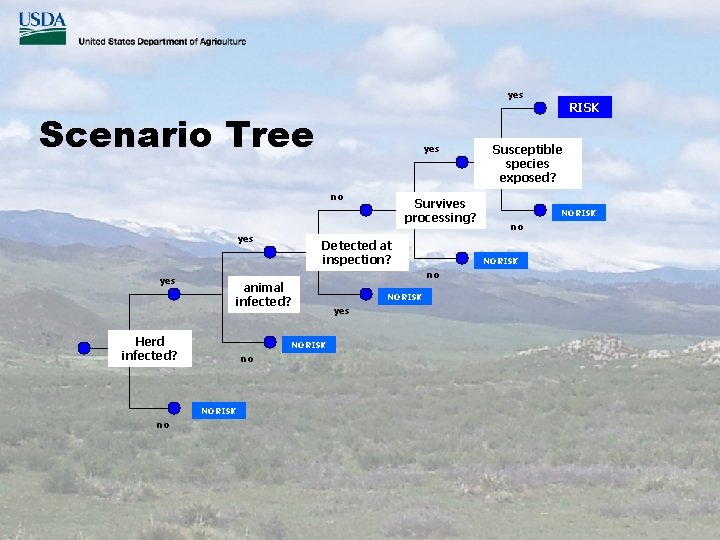 yes Scenario Tree yes no yes NO RISK no Detected at inspection? animal infected?
