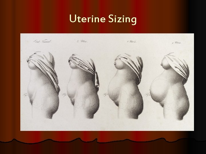 Uterine Sizing 