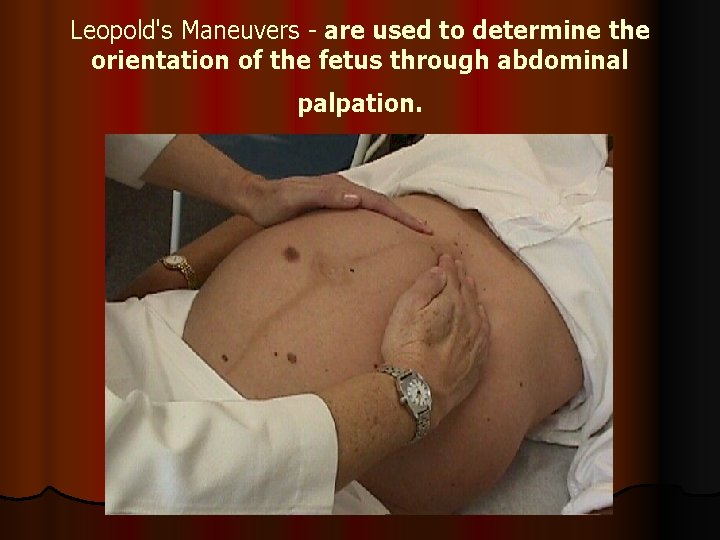 Leopold's Maneuvers - are used to determine the orientation of the fetus through abdominal