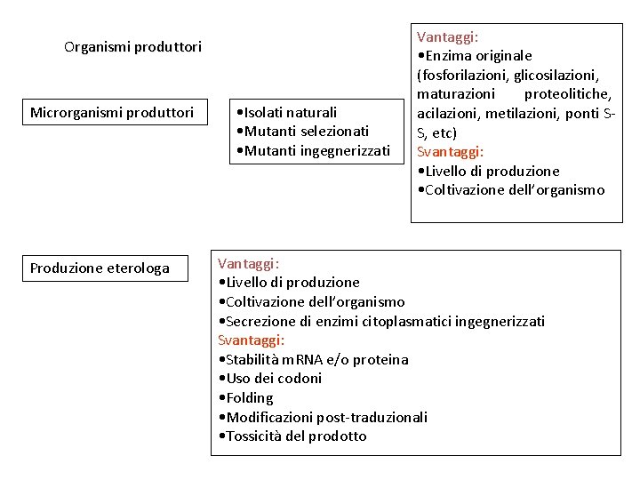 Organismi produttori Microrganismi produttori Produzione eterologa • Isolati naturali • Mutanti selezionati • Mutanti