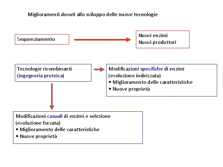 Miglioramenti dovuti allo sviluppo delle nuove tecnologie Nuovi enzimi Nuovi produttori Sequenziamento Tecnologie ricombinanti