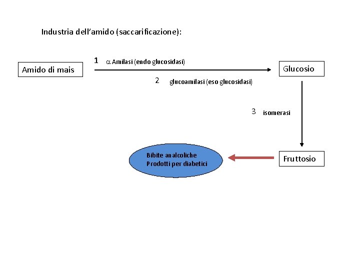Industria dell’amido (saccarificazione): Amido di mais 1 Amilasi (endo glucosidasi) 2 Glucosio glucoamilasi (eso