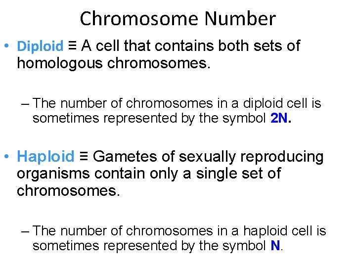 Chromosome Number • Diploid ≡ A cell that contains both sets of homologous chromosomes.
