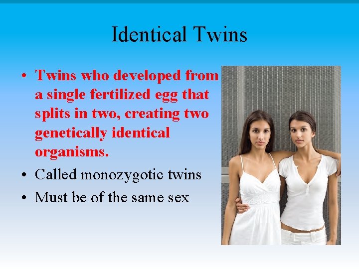 Identical Twins • Twins who developed from a single fertilized egg that splits in