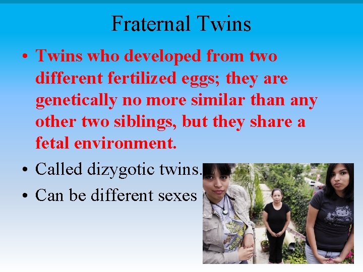 Fraternal Twins • Twins who developed from two different fertilized eggs; they are genetically