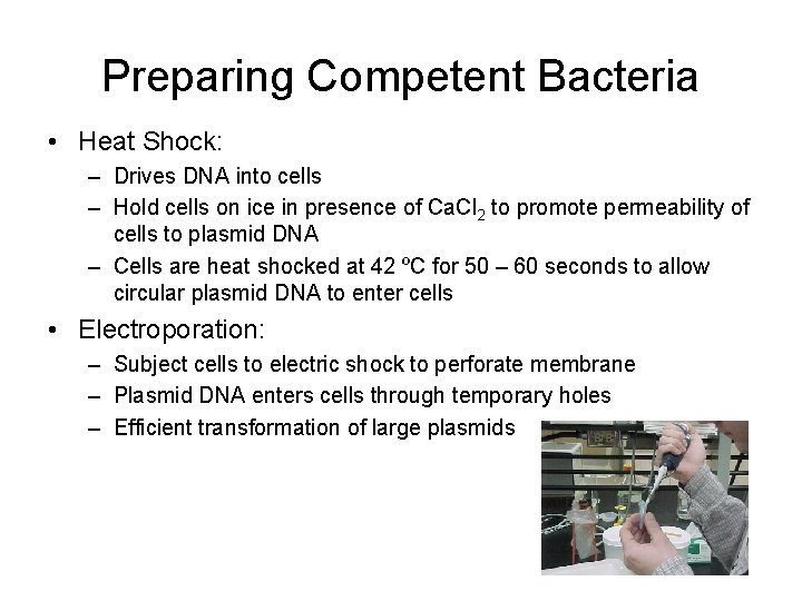 Preparing Competent Bacteria • Heat Shock: – Drives DNA into cells – Hold cells