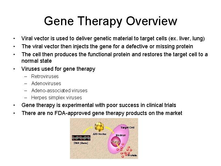 Gene Therapy Overview • • Viral vector is used to deliver genetic material to