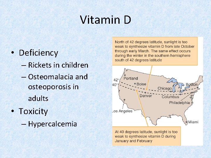 Vitamin D • Deficiency – Rickets in children – Osteomalacia and osteoporosis in adults