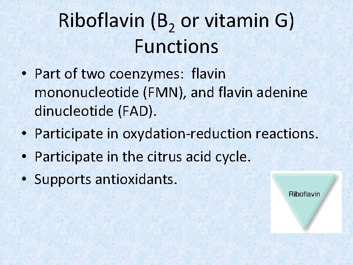 Riboflavin (B 2 or vitamin G) Functions • Part of two coenzymes: flavin mononucleotide