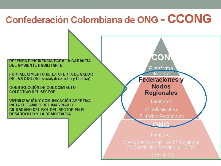 Confederación Colombiana de ONG - CCONG DEFENSA E INCIDENCIA PARA LA GARANTIA DEL AMBIENTE