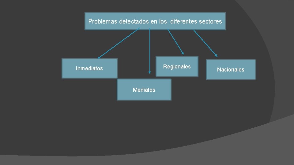 Problemas detectados en los diferentes sectores Regionales Inmediatos Mediatos Nacionales 