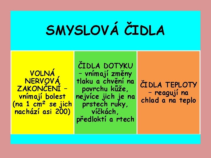 SMYSLOVÁ ČIDLA DOTYKU VOLNÁ – vnímají změny NERVOVÁ tlaku a chvění na ČIDLA TEPLOTY