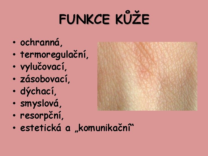 FUNKCE KŮŽE • • ochranná, termoregulační, vylučovací, zásobovací, dýchací, smyslová, resorpční, estetická a „komunikační“