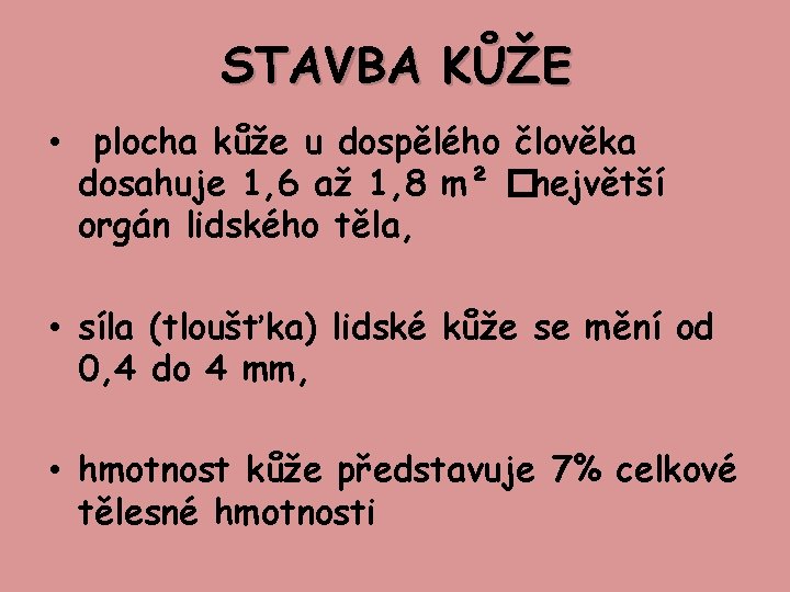 STAVBA KŮŽE • plocha kůže u dospělého člověka dosahuje 1, 6 až 1, 8