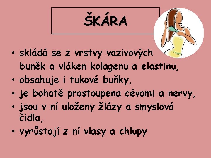 ŠKÁRA • skládá se z vrstvy vazivových buněk a vláken kolagenu a elastinu, •