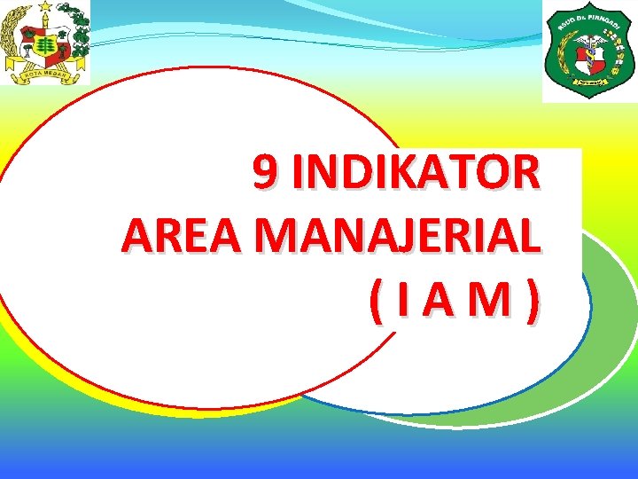 9 INDIKATOR AREA MANAJERIAL (IAM) 