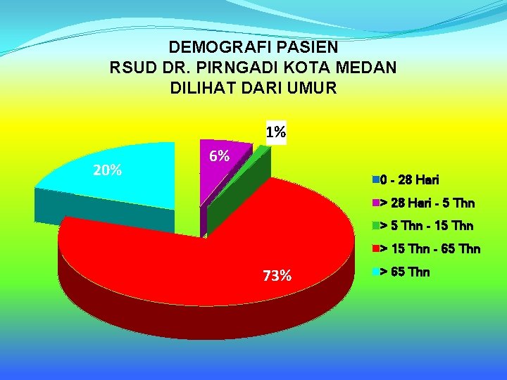 DEMOGRAFI PASIEN RSUD DR. PIRNGADI KOTA MEDAN DILIHAT DARI UMUR 1% 20% 6% 0