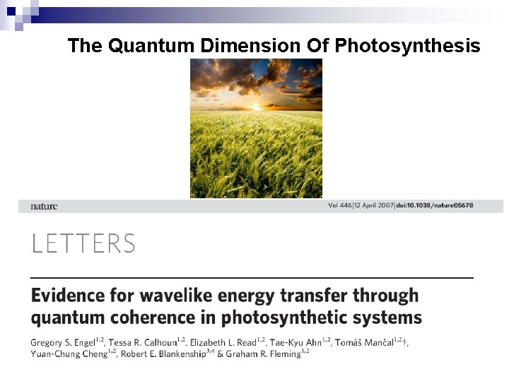 The Quantum Dimension Of Photosynthesis 