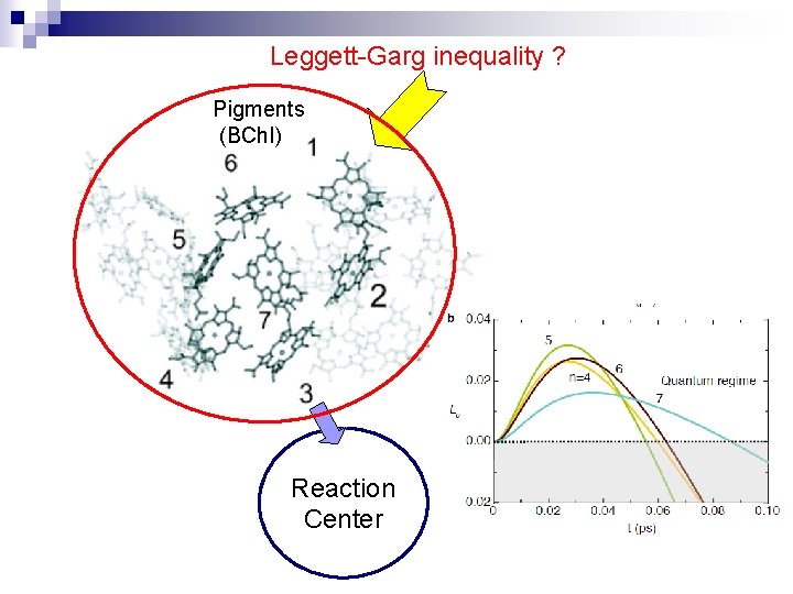 Leggett-Garg inequality ? Pigments (BChl) Reaction Center 