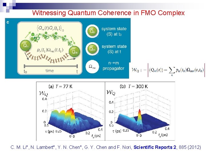 Witnessing Quantum Coherence in FMO Complex C. M. Li*, N. Lambert*, Y. N. Chen*,