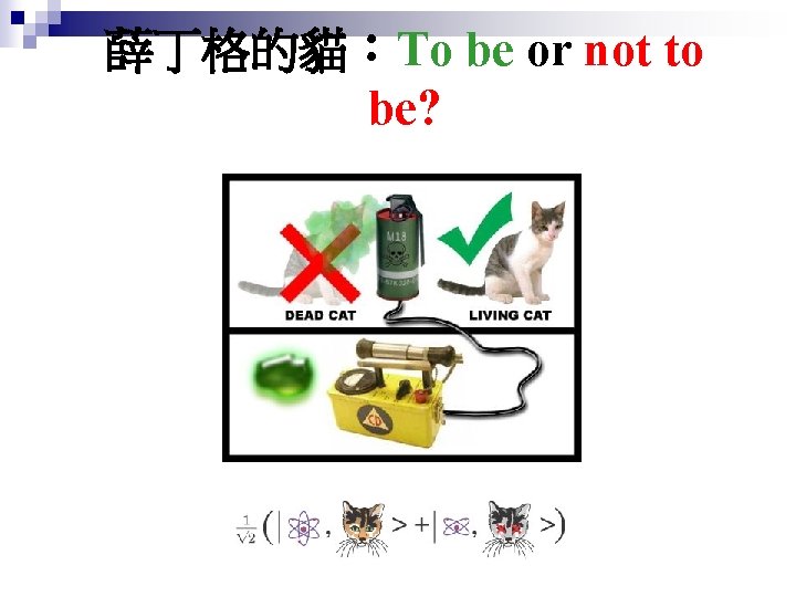 薛丁格的貓：To be or not to be? 