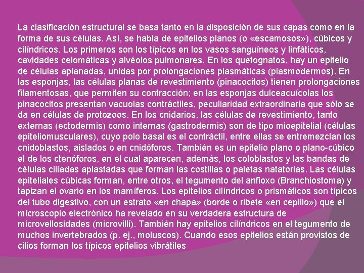 La clasificación estructural se basa tanto en la disposición de sus capas como en