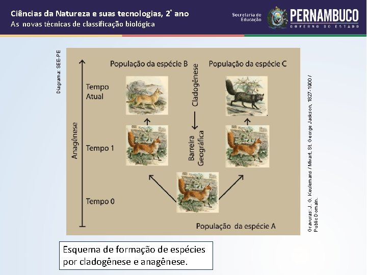 Cincias da Natureza e suas tecnologias Ensino Mdio