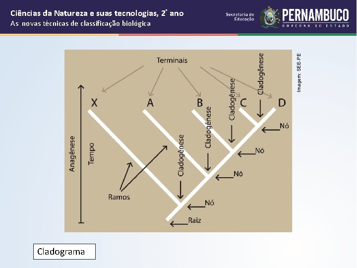 Cincias da Natureza e suas tecnologias Ensino Mdio