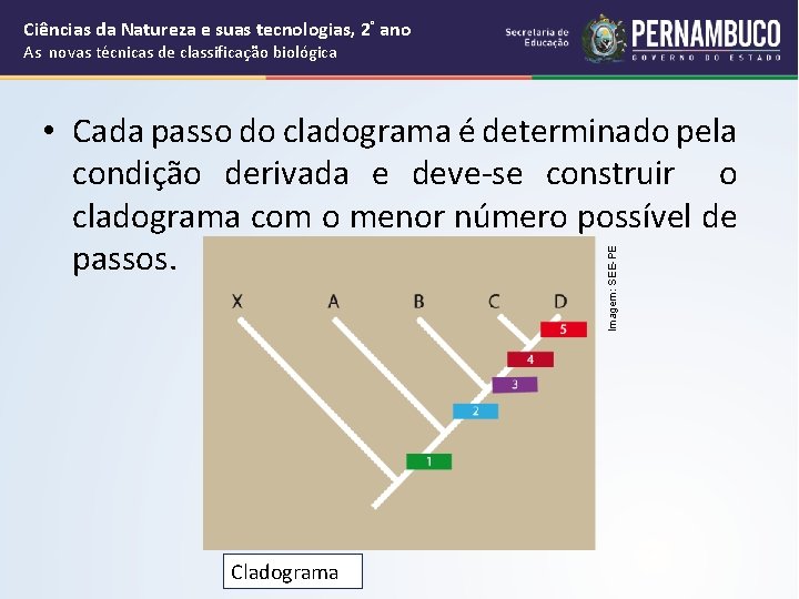 Cincias da Natureza e suas tecnologias Ensino Mdio