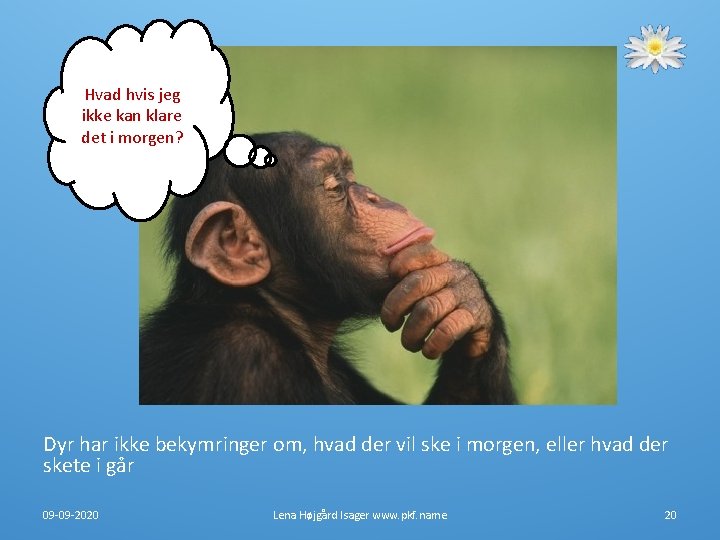 Hvad hvis jeg ikke kan klare det i morgen? Dyr har ikke bekymringer om, Hvad hvis jeg ikke kan klare det i morgen? Dyr har ikke bekymringer om,
