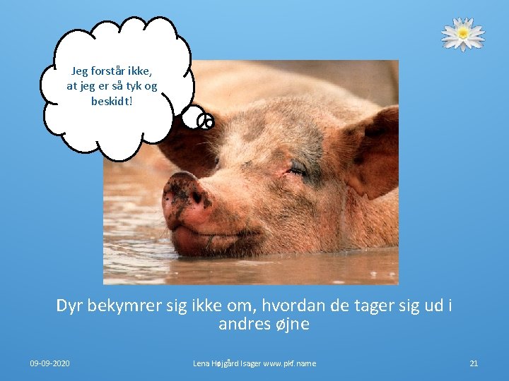 Jeg forstår ikke, at jeg er så tyk og beskidt! Dyr bekymrer sig ikke Jeg forstår ikke, at jeg er så tyk og beskidt! Dyr bekymrer sig ikke