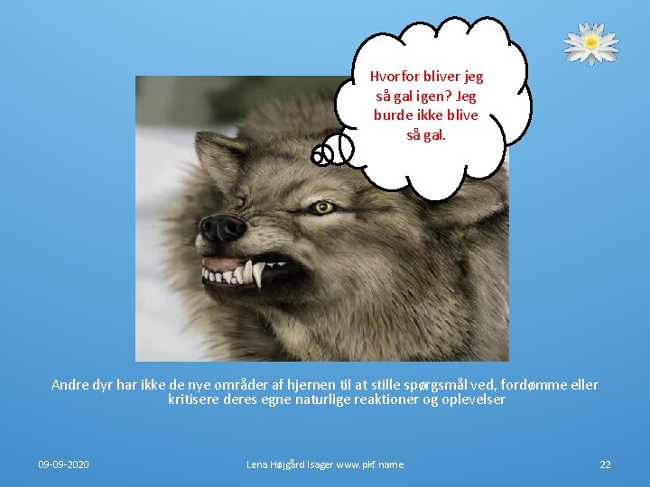 Hvorfor bliver jeg så gal igen? Jeg burde ikke blive så gal. Andre dyr Hvorfor bliver jeg så gal igen? Jeg burde ikke blive så gal. Andre dyr