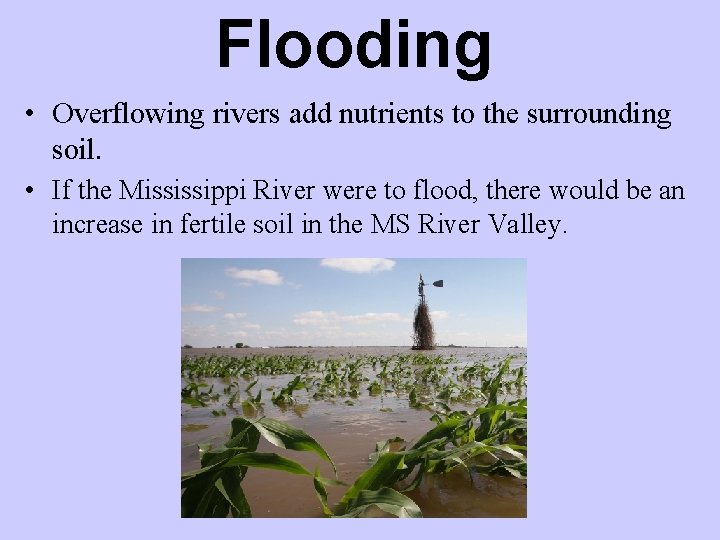 Flooding • Overflowing rivers add nutrients to the surrounding soil. • If the Mississippi