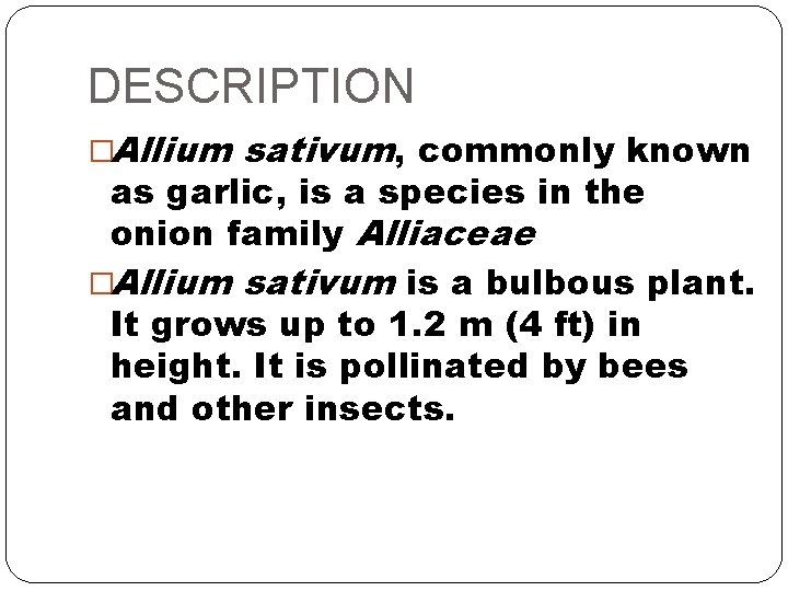 DESCRIPTION �Allium sativum, commonly known as garlic, is a species in the onion family