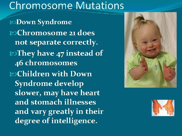 Chromosome Mutations Down Syndrome Chromosome 21 does not separate correctly. They have 47 instead