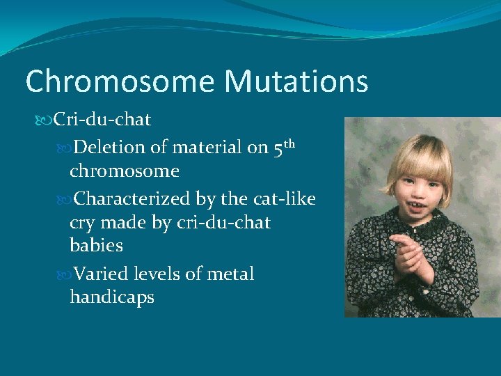 Chromosome Mutations Cri-du-chat Deletion of material on 5 th chromosome Characterized by the cat-like