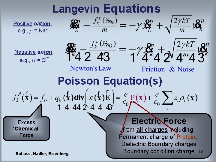 Langevin Equations Positive cat ion, e. g. , p = Na+ Negative an ion, Langevin Equations Positive cat ion, e. g. , p = Na+ Negative an ion,