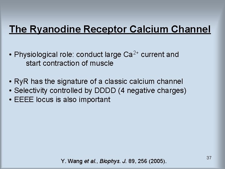 The Ryanodine Receptor Calcium Channel • Physiological role: conduct large Ca 2+ current and The Ryanodine Receptor Calcium Channel • Physiological role: conduct large Ca 2+ current and