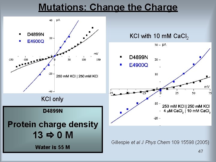 Mutations: Change the Charge KCl with 10 m. M Ca. Cl 2 KCl only Mutations: Change the Charge KCl with 10 m. M Ca. Cl 2 KCl only