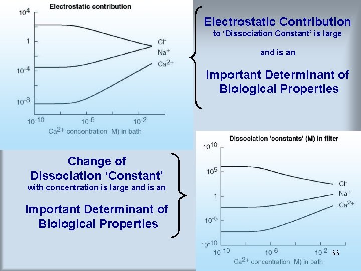 Electrostatic Contribution to ‘Dissociation Constant’ is large and is an Important Determinant of Biological Electrostatic Contribution to ‘Dissociation Constant’ is large and is an Important Determinant of Biological